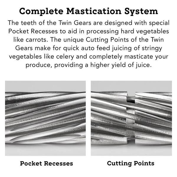 Greenstar Gold Twin Gear 24 fl. oz. White Cold Press Juicer
